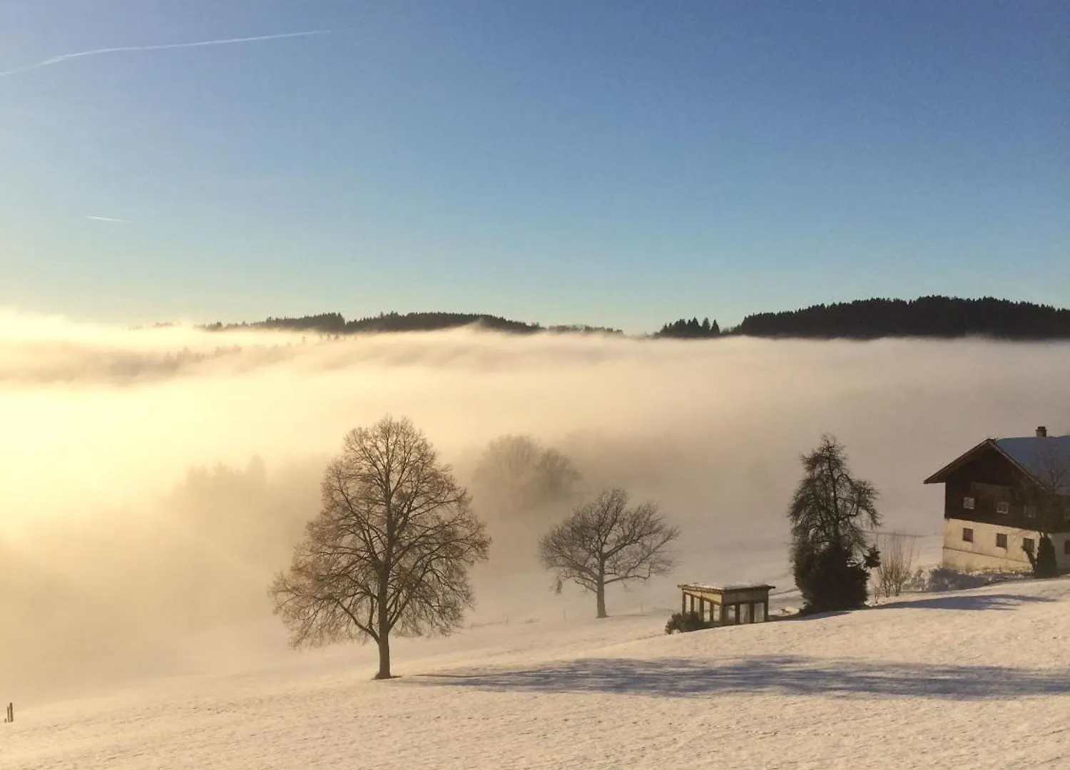 Ferienwohnung Im Bayerischen Wald Inkl, Aktivcard Sankt Englmar